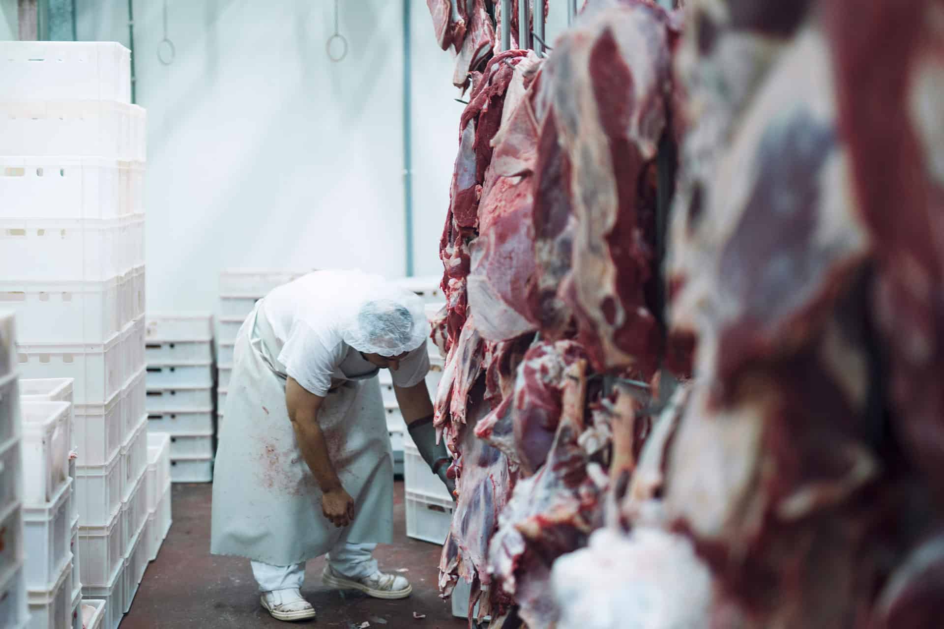 meat waste