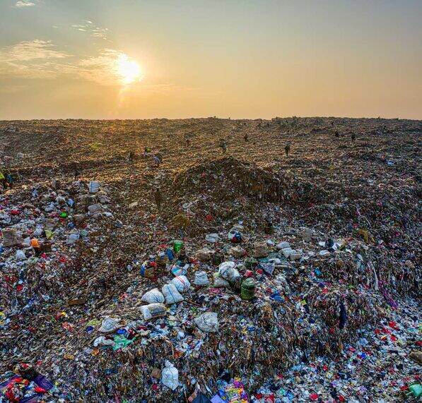 How a Waste Management Company Can Save You Time and Money